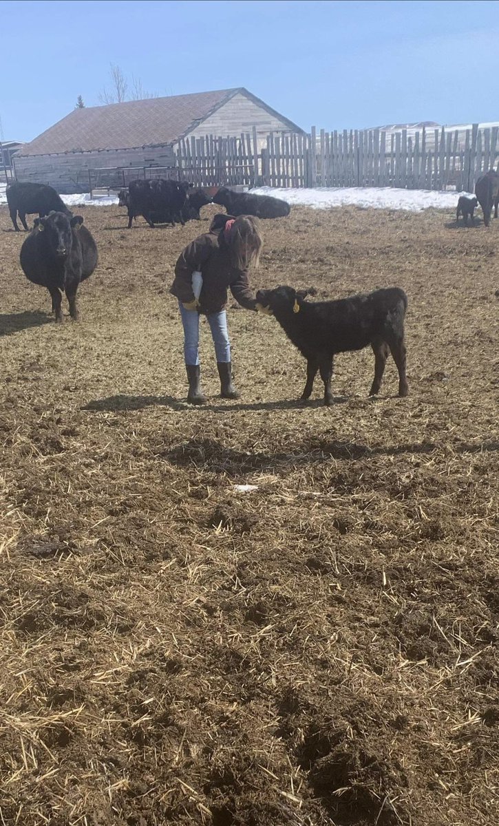 KsBru62's tweet image. MAY-I love cows
JUNE-I love cows
JULY-I love cows
AUG-I love cows
SEPT-I love cows 
OCT-We need more cows
NOV-We sure have a lot of cows
DECEMBER-Who bought those cows
JANUARY-We have too many cows
FEBRUARY-Stupid cows
MARCH-I hate cows
APRIL-I hate cows
😁🤪🤣