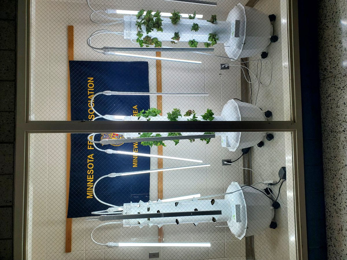 Emily Jay tweet media