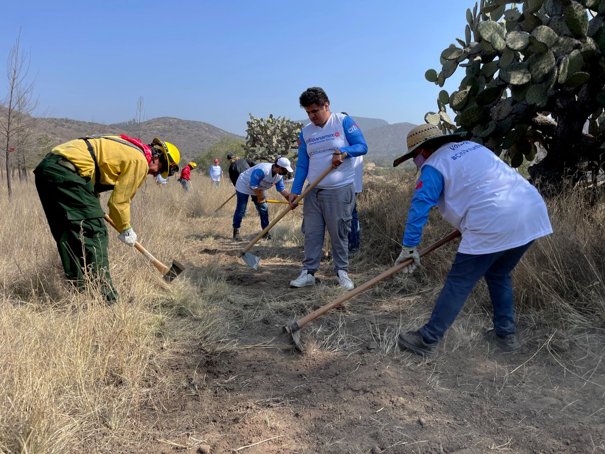 AmbienteEdomex's tweet photo. Para prevenir #IncendiosForestales la #CGCE de la #SAMGEM en conjunto con voluntarios de @CitibanamexCS, participaron en la jornada de mantenimiento de brechas cortafuego, en el ejido Ocopulco, en el #ParqueEstatalSierraPatlachique. https://t.co/1Wu10Js1vl
