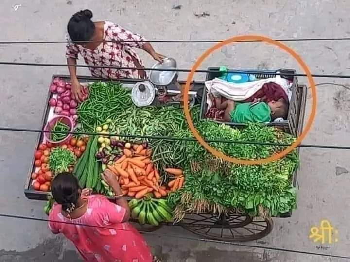 Fahad_Journo's tweet photo. मेहनत करने वाले को हर परिस्थिति में मार्ग मिलता है । https://t.co/BmTNAJUbO5