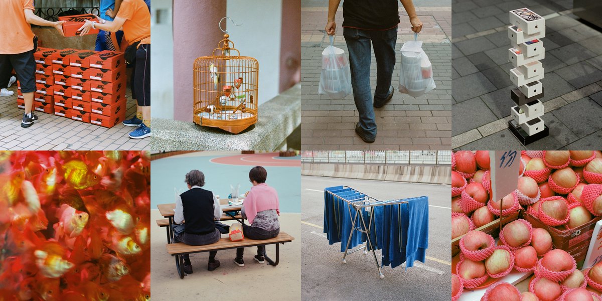 My photography on #tezos