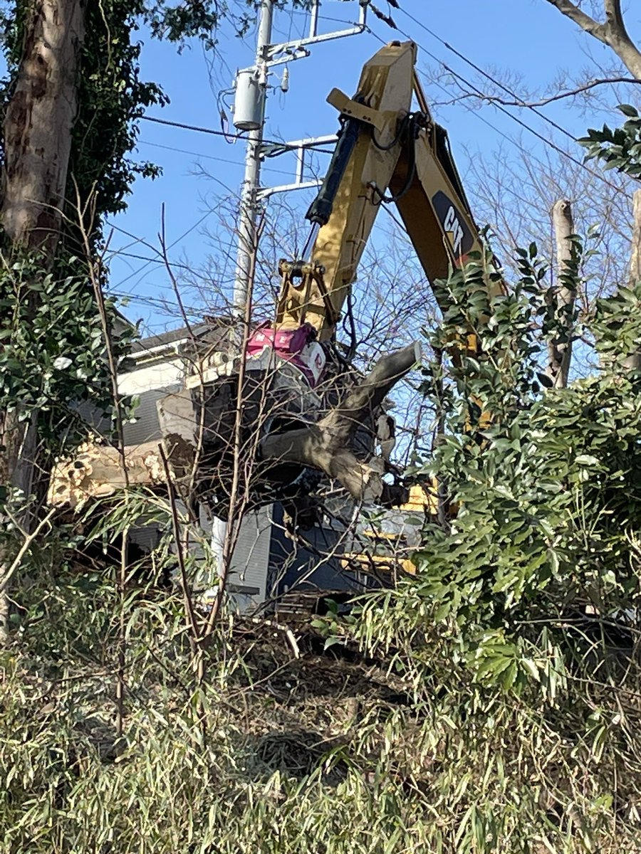 AWBeckham66's tweet photo. We so lost our battle to save the forest next to our neighborhood. Feels like almost continuous earthquakes. There’s dirt dusting everything in the area even without starting the land fill part of the development. 
#JapaneseCarnage https://t.co/2Jmi7xx21A