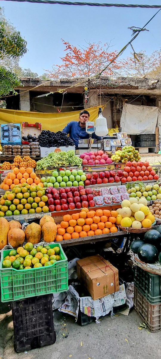 arjandewagt's tweet photo. As you plan your shopping:
Make Holi celebration a feast for your eyes and body by indulging in a variety of colorful fruits and veggies! ππππ½π
Eating the rainbow has never been more delicious, nutritious or fun! Happy Holi!
#HealthyEating #RainbowPlate
@4ChildNutrition https://t.co/fbpmQZ8Frd