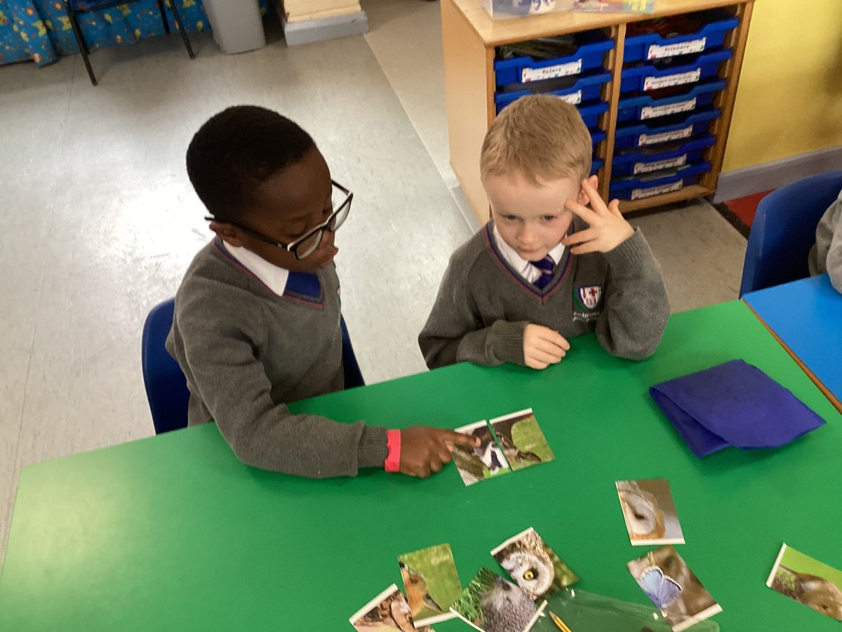 Science week is off to a good start for Year 1. They are comparing the features of different animals, using key vocabulary to describe and compare the animals. #scienceweek #animalsfeatures