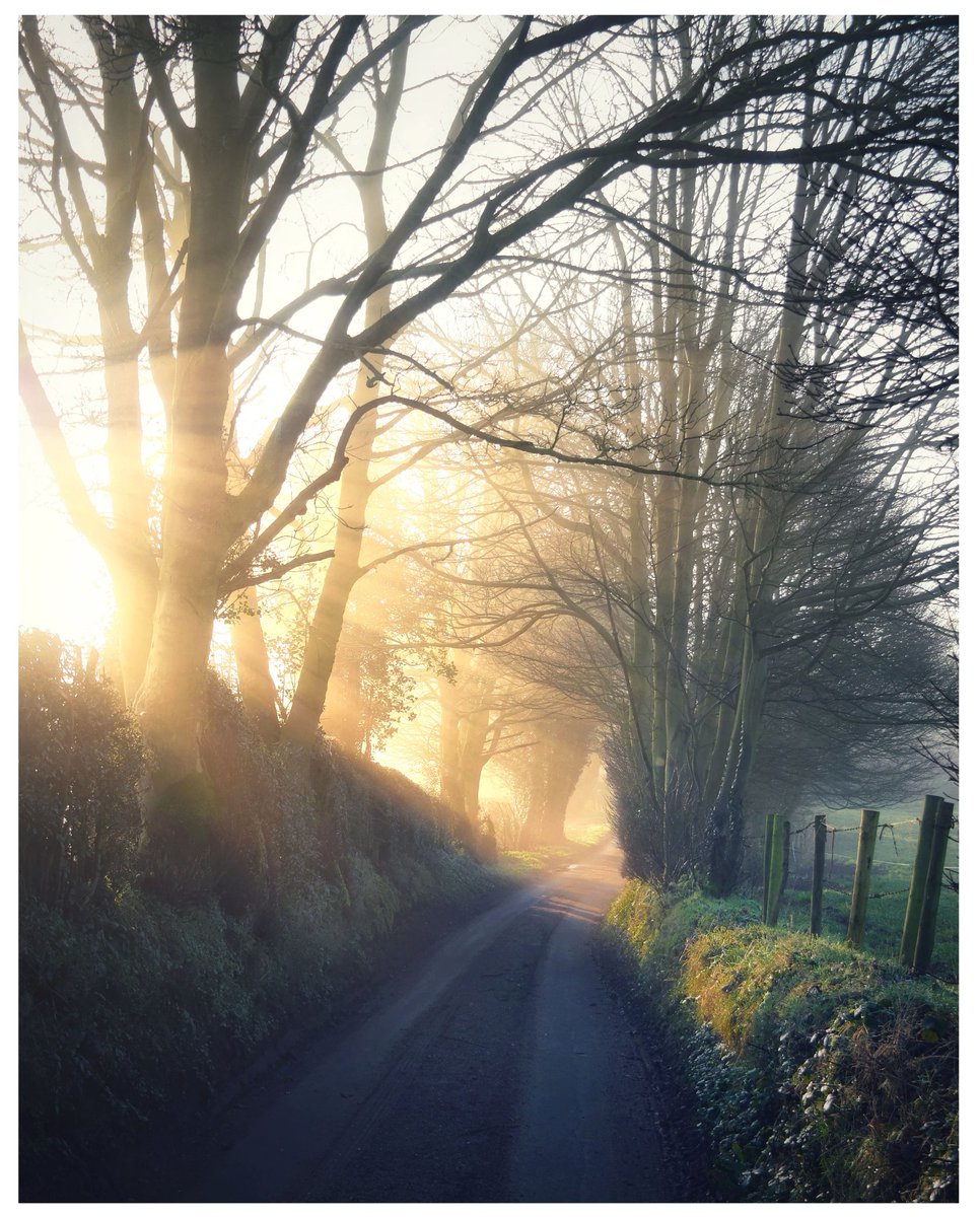 Light in the lane.

#ThePhotoHour #StormHour #sunlight #englishcountryside