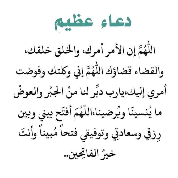 راضيه بنصيبي ( ام شهد) tweet media