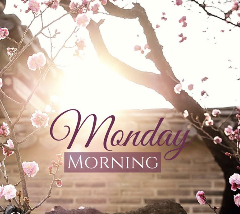 A fresh new week, we can hear the birds tweeting and see the trees and flowers beginning to bud. New growth is appearing all around us, we hope everyone has a lovely Monday 😊 #PositiveVibes #springtime #March2023 <a href="/AnchorLaterLife/">Anchor</a>