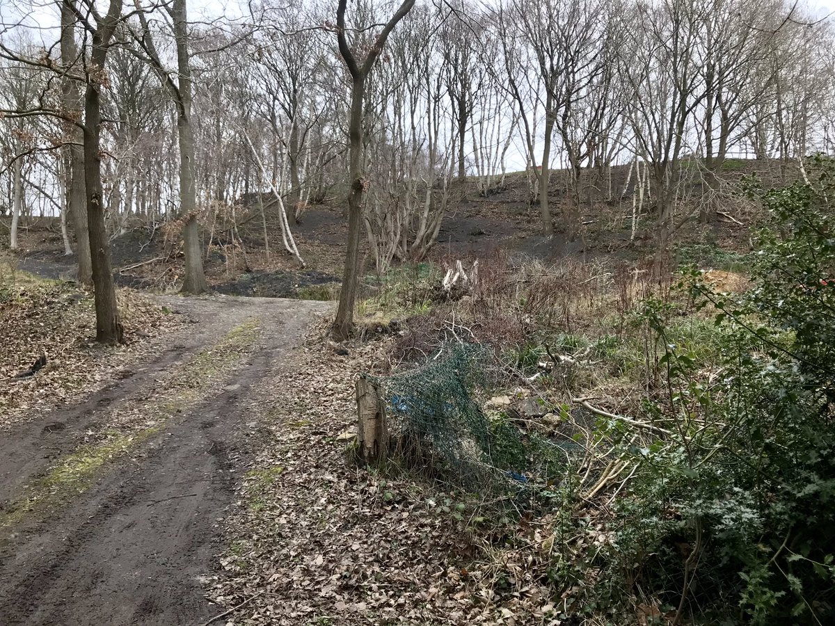 coal_legacies's tweet photo. Walking the Coal Rail Heritage Trail along the #Unstone loop line NE #Derybshire served 6 collieries working the Black Silkstone #coal seam and 260 #coke ovens. First point, former site of Unstone Main, remnants of retaining walls and coal drops survive
#miningheritage #explore https://t.co/AONwjFqRrv