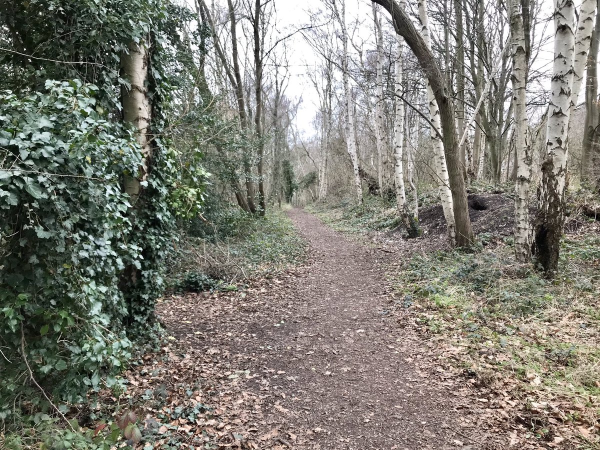 coal_legacies's tweet photo. Walking the Coal Rail Heritage Trail along the #Unstone loop line NE #Derybshire served 6 collieries working the Black Silkstone #coal seam and 260 #coke ovens. First point, former site of Unstone Main, remnants of retaining walls and coal drops survive
#miningheritage #explore https://t.co/AONwjFqRrv