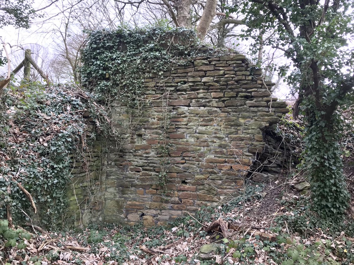 coal_legacies's tweet photo. Walking the Coal Rail Heritage Trail along the #Unstone loop line NE #Derybshire served 6 collieries working the Black Silkstone #coal seam and 260 #coke ovens. First point, former site of Unstone Main, remnants of retaining walls and coal drops survive
#miningheritage #explore https://t.co/AONwjFqRrv