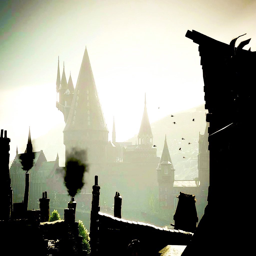 #HogwartsLegacy #HarryPotter #VirtualPhotography #Photography #PSshare #PhotoMode #FuckJKRowling