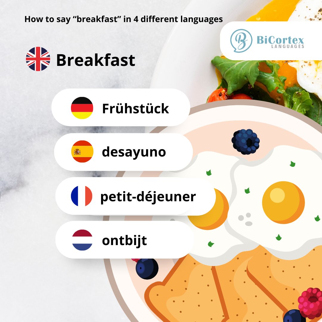 The most important meal of the day is . . .

Breakfast! 🥞

Learn how to say 'Breakfast' in German, Spanish, French & Dutch!

#breakfast #bicortexlanguages #learnalanguage #learninglanguages #languagelearning #germanlanguage #frenchlanguage #dutchlanguage #frenchlanguage