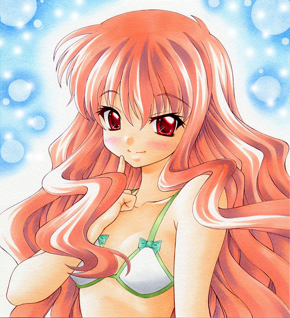 ルイズ・フランソワーズ・ル・ブラン・ド・ラ・ヴァリエール 「こんばんはー。ゼロの使い魔ルイズさんのイラストです。 」ないとめあ由瞳綺麗