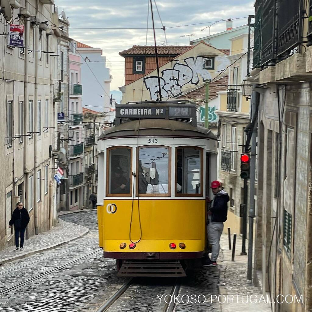test ツイッターメディア - こちらの風景は日常茶飯事です🇵🇹　#リスボン #ポルトガル #路面電車 https://t.co/A7hwJmMC0Z