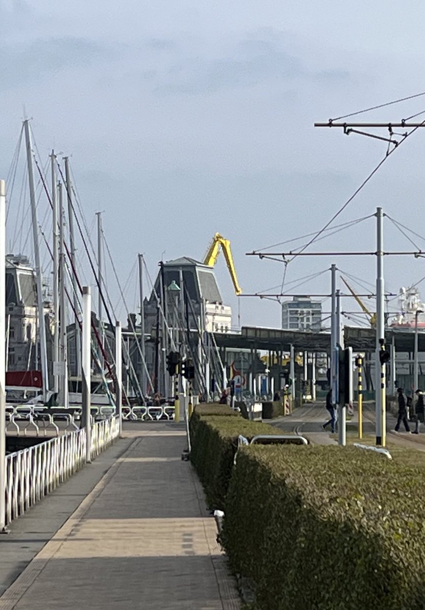 Judith Van Goethem tweet media