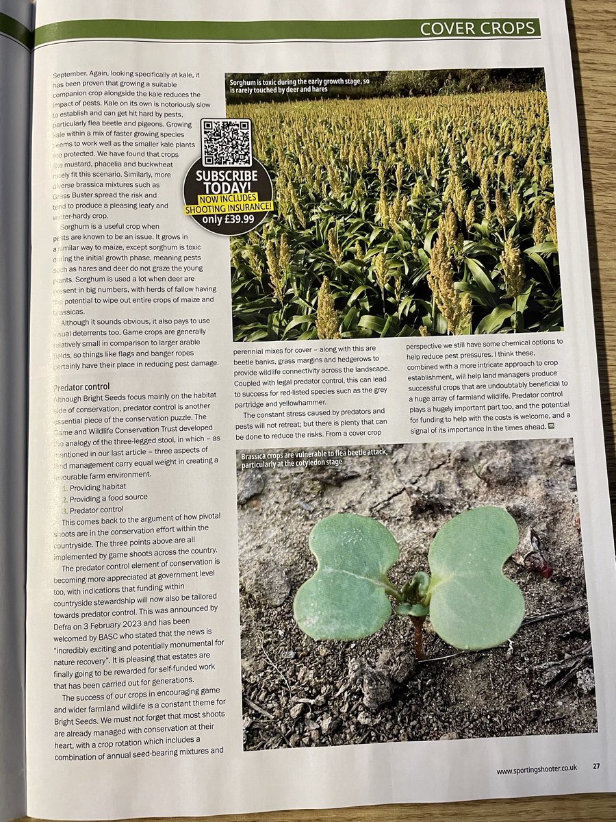 Our latest piece by <a href="/Arthur_BRIGHTS/">Arthur Barraclough</a> is the latest <a href="/SportingSMag/">Sporting Shooter</a> looks at the constant challenges of keeping pests and predators at bay… 🌱💪

Essential for not just crops, but conservation too. 👌