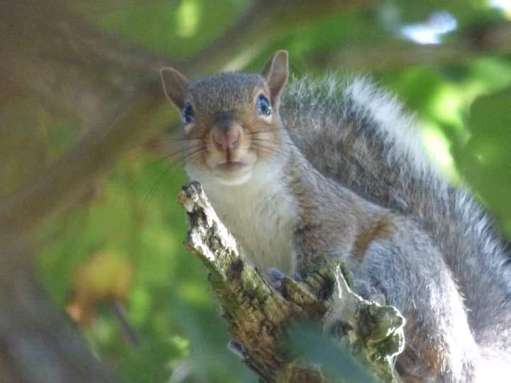 DegonoUK's tweet image. That moment you realize you have to clean out your #cafetiere that&apos;s been sat on the side of the sink for 2 days! There is no problem with the degono! #doublefilter #easyclean #groundsaway #Coffee #coffeeblogger #coffeebeans #tea #tealeaves #coffeepress #teapress