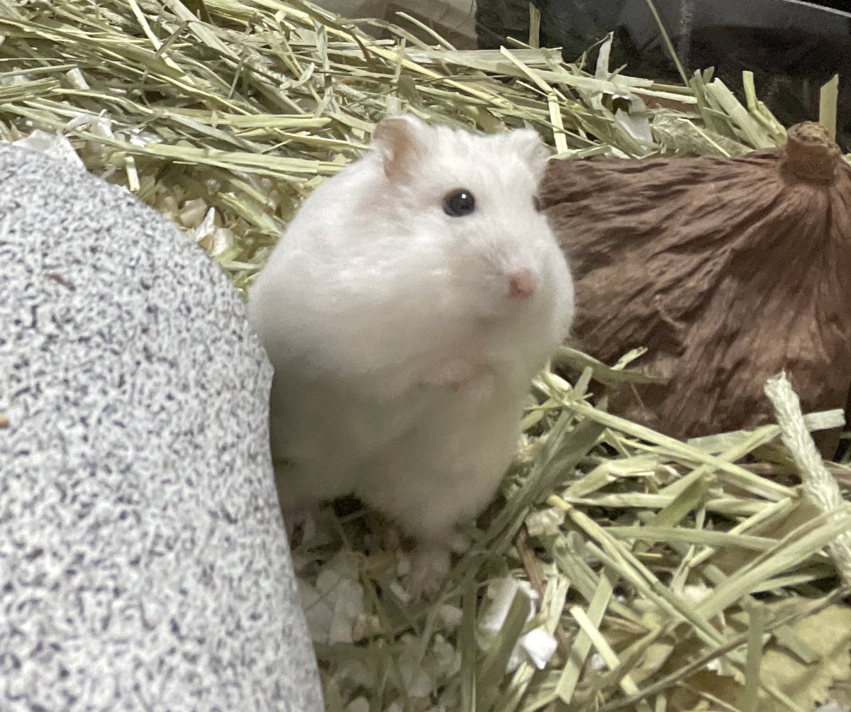 인형어플 돌린거아니냐구요.
이게 어떻게 기본캠이냐고요.