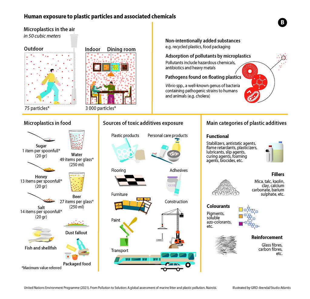 Marine food chains &amp; ecosystems are often the first exposed to microplastics. But did you know that human microplastic exposure goes beyond seafood?

Microplastics have been found in foodstuffs such as:

🧂Salt
🍯Honey
🍞Bread
🍺Beer
🚰Water

Via @unep:
unep.org/interactive/po…