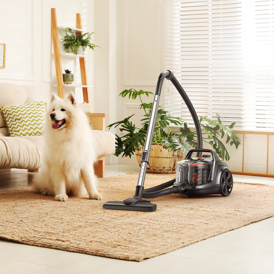 Our canister vacuum is powerful, efficient and easier to maneuver around furniture and other obstacles🏠

Shop now: bit.ly/3GyWtTC

#Aspiron 
#Housekeeping #CanisterVacuum #PetHairRemoval #Cleaninghacks