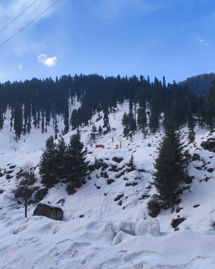 flyingfeathersI's tweet photo. Bhaderwah is a valley bewitching natural beauty and panoramic vistas.
A full majestic view of the sylvan Bhaderwah valley with snow – capped background makes visitors fall in love with Bhaderwah
PC - @skoulseven
#bhaderwah #jammu #kishtwar #doda #jammukashmir 
@JandKTourism https://t.co/IKGi8Kla0n