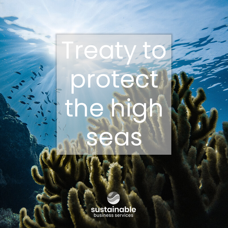 After many years of delay, nations have finally reached agreement, known as ‘The High Seas Treaty’ it aims to place 30% of the seas into protected areas by 2030

Our oceans pay a huge part in regulating our climate and is home to an abundance of wildlife that requires our support