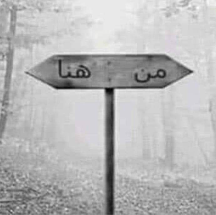 sohaalwahaibi's tweet photo. Never back down 
لا تتراجع https://t.co/g8rwqvNl65