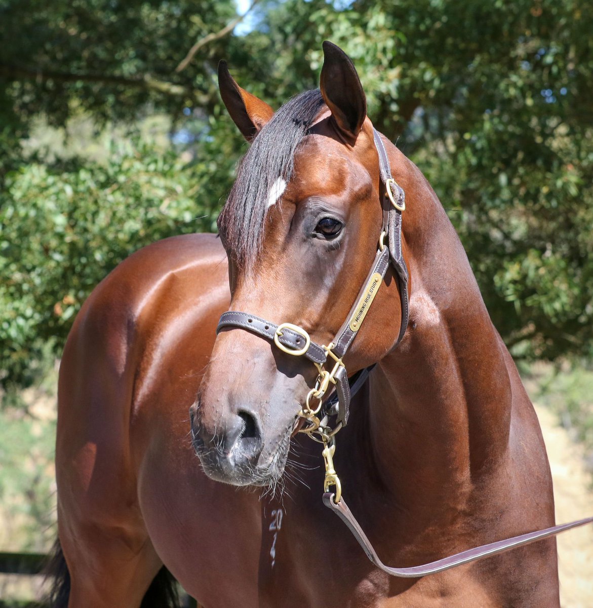 Dylan Dunn tweet media