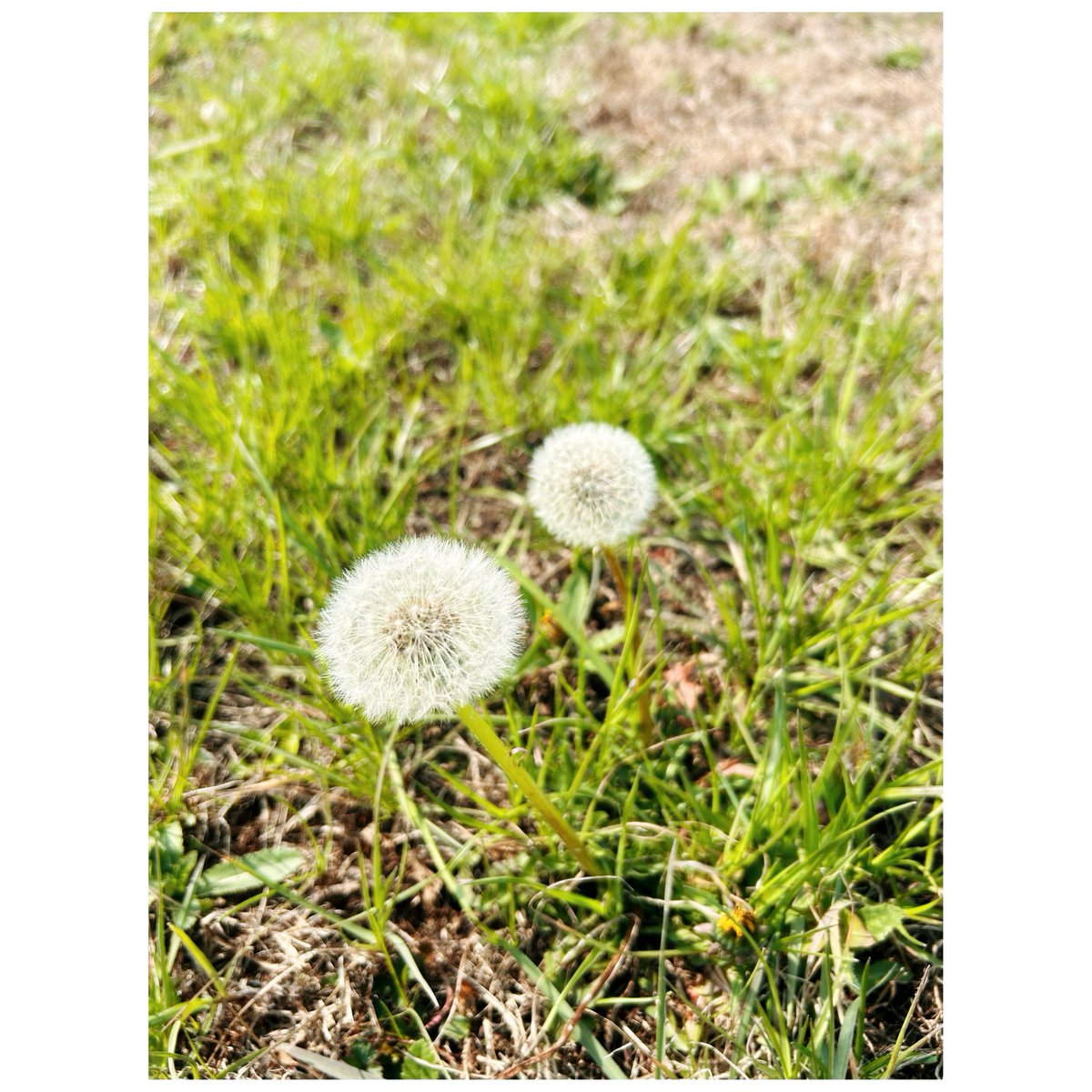 Springtime is coming.🌱