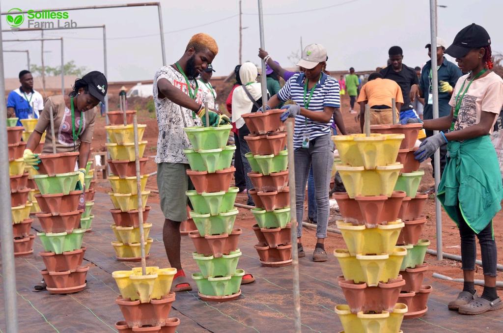 Starting the new week with all the goodies of nature🌱

Things are getting better, we are changing the narratives🌱💪

#EYiA #EYiAPrimus #LadyFarmer #farmer_oluwarantimi #soillessfarming #agriculture #hydroponicsfarming #agribusiness