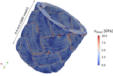 CsmaJunior's tweet photo. Atelier AMITEX - CSMA juniors 2023 : simulation of a SiC/SiC composite tube submitted to a tensile test. Input data : tomographic image acquired at SOLEIL synchrotron. 7 billions of voxels – 1700 MPI process – 10min. #AMITEX https://t.co/VLlGZhHe5E https://t.co/ANFVyPBDQv