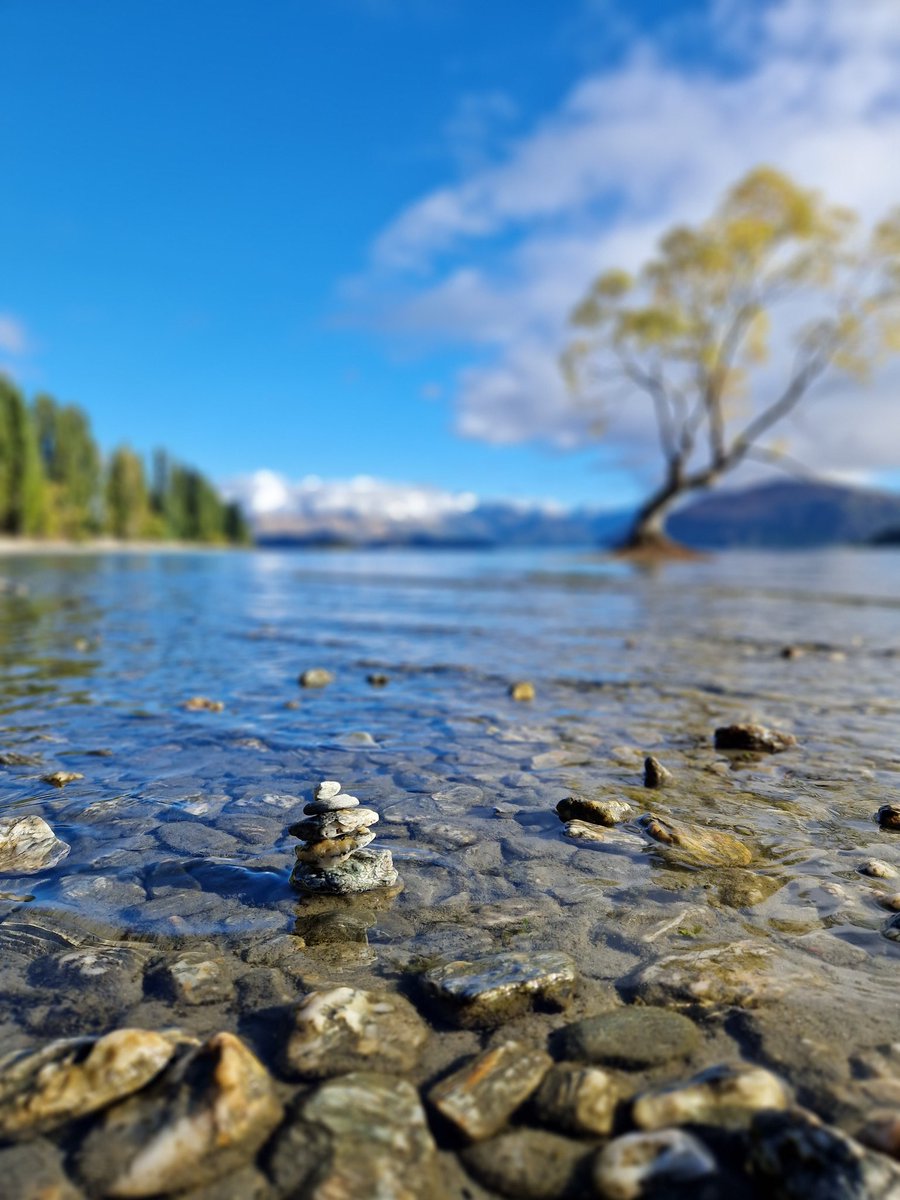 testpott's tweet image. #TheTree #LakeWanaka #NewZealand..soll im Herbst noch toller aussehen,  solange geht mein Urlaub dann doch nicht 😊