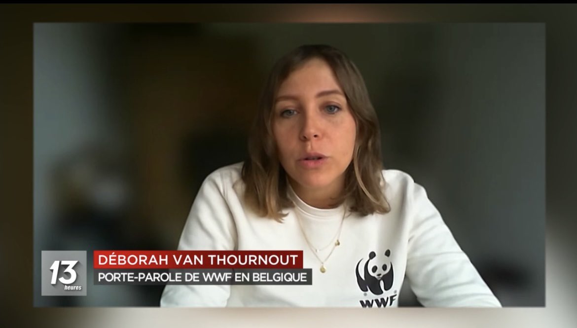 🌊💙C'est historique: un accord à l'#ONU va créer un cadre pour préserver la vie marine et limiter les activités nuisibles dans la #HauteMer, qui représente 2/3 de la superficie de l'océan de la 🌍#HighSeasTreaty
📺Reportage d'<a href="/AliceDebatis/">Alice Debatis</a> pour @rtbfinfo👉auvio.rtbf.be/media/un-accor…