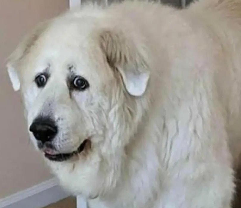 CUANDO SUENA ER DESPERTADO Y NO ENTIENDO ASOLUTAMENTE NADA LUNE?????? KE SINIFICA SARVO UNA INTERESADA CONVENSION