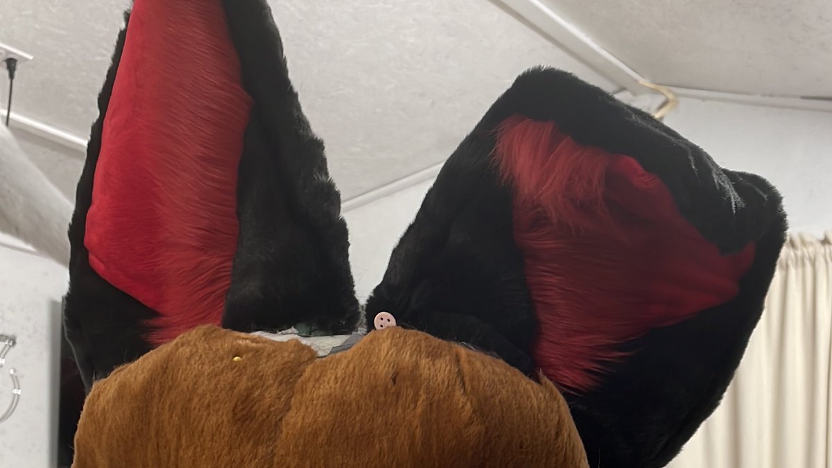 FurzoneCreations tweet media