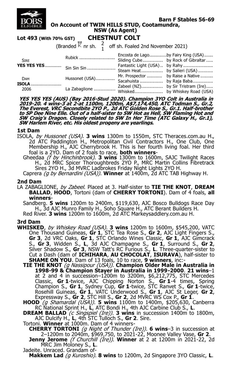 We purchased L493 Yes Yes Yes x Isola colt at #InglisPremier from @TwinHillsStud $160k.

Isola has had 2 to race, both winners. It is one of those outstanding Tait families with Whisked being the 3rd dam. A G1 winner she also produced  champ Tie The Knot

edward@myrtlehouse.horse