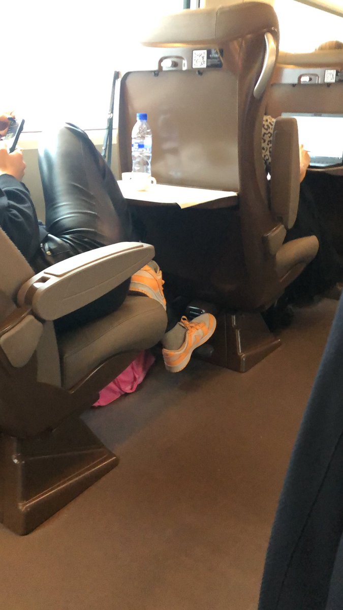 La veritat quin cony d'educació ha rebut aquesta gent?  Iryo, trens nous amb seients amplissims i tot netíssim però han de venir aquests personatges i fotre els peus a sobre el seient !! Quina merda de penya que corre pel món .. Per cert, una pija del cagar.