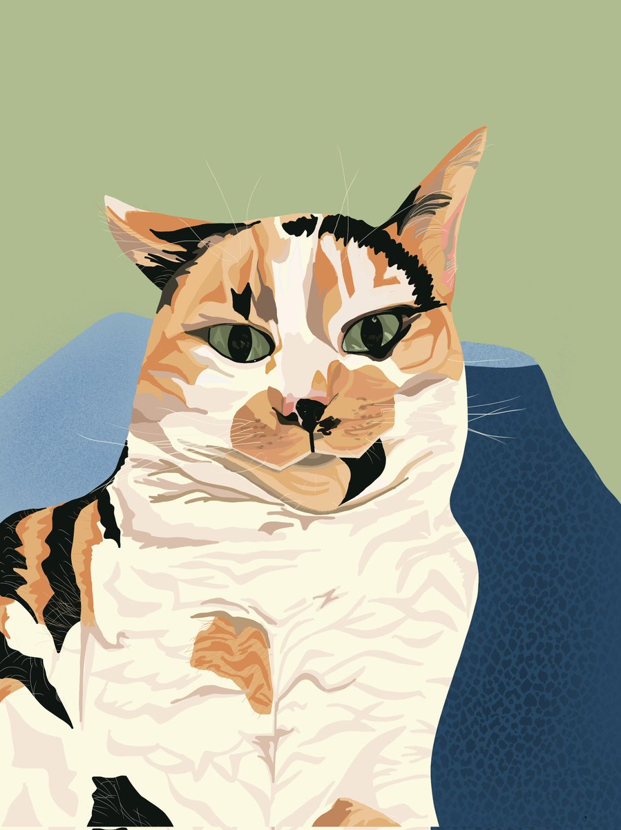 Kicking off the working week with an entry for #AHPsCreative - a picture of my lovely rescue cat Izzie. Good excuse to do a bit of drawing on the iPad! 

<a href="/WeAHPs/">WeAHPs 💙</a> 

#creativity #creativemind #relax