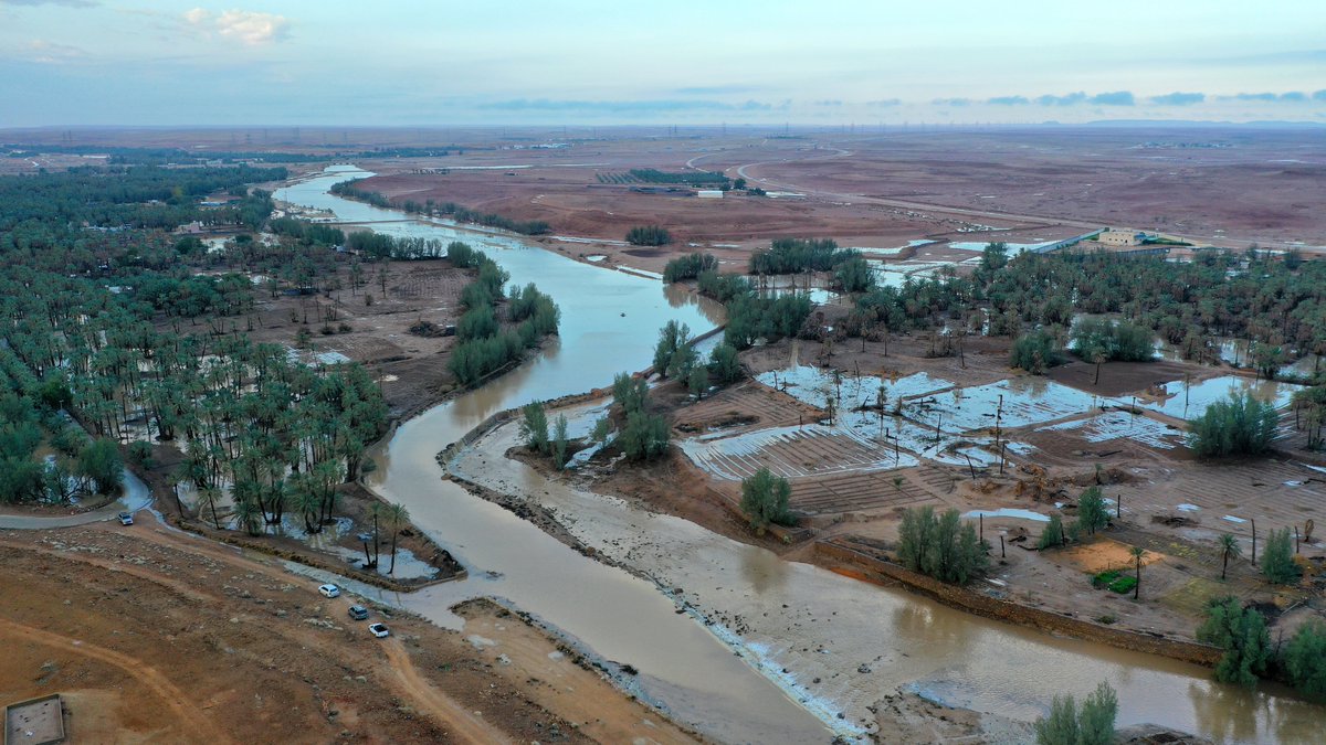 محمد بن صالح المسند tweet media