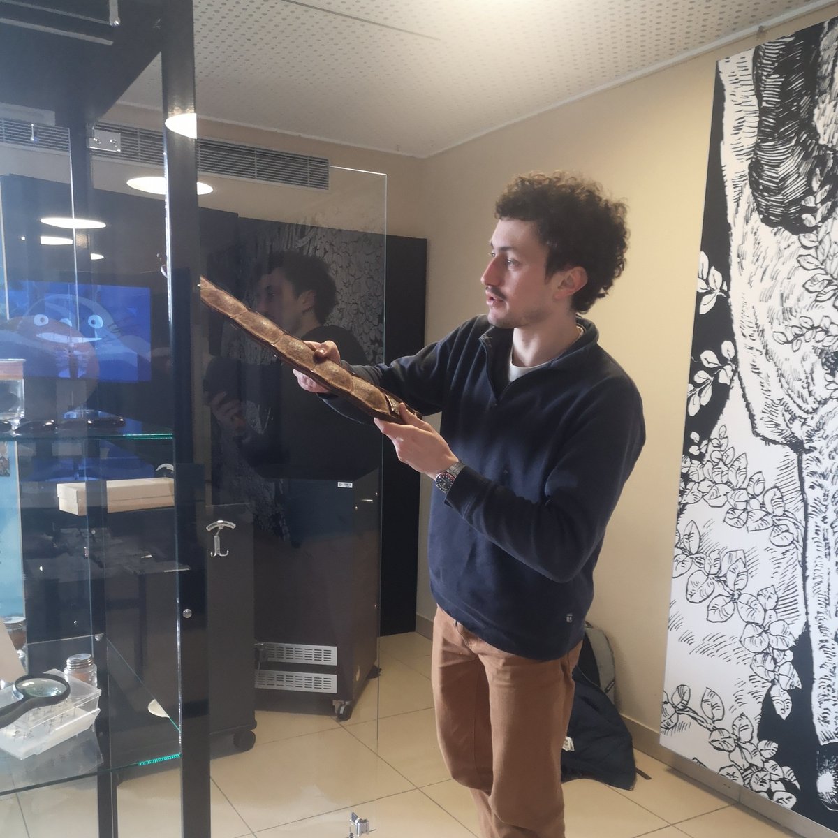 BU Lyon1 (@bulyon1) on Twitter photo Dernière ligne droite avant l’inauguration de l’exposition Tant qu’on sème du Festival Science et Manga.
L’équipe de l’<a href="/herbierly/">Herbier UCBLyon1</a> / fédération de recherche BioEnVis peaufine ses dernières vitrines... RDV demain à partir de 18h à la BU Sciences pour découvrir le résultat ! Dernière ligne droite avant l’inauguration de l’exposition Tant qu’on sème du Festival Science et Manga.
L’équipe de l’<a href="/herbierly/">Herbier UCBLyon1</a> / fédération de recherche BioEnVis peaufine ses dernières vitrines... RDV demain à partir de 18h à la BU Sciences pour découvrir le résultat !