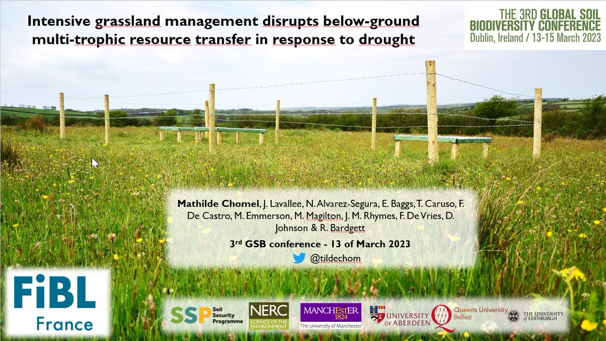 Mathilde Chomel tweet media