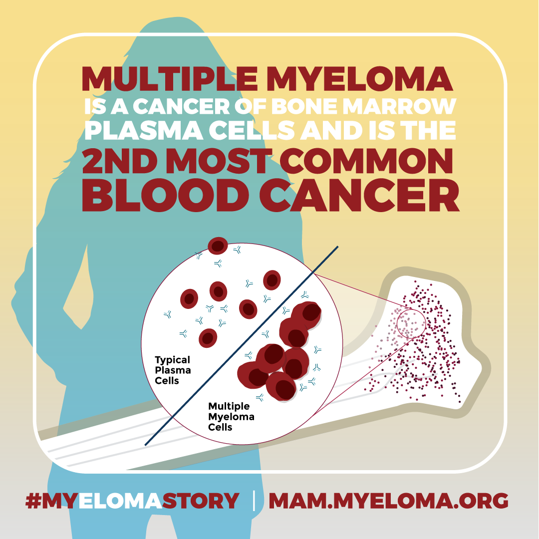 TheBindingSite's tweet photo. March is #MyelomaActionMonth which aims to raise awareness of #myeloma.  Although it is thought of as a rare disease, myeloma is the second most common blood cancer.

What is your #MYelomaSTORY?

https://t.co/sl4DJdGmKf https://t.co/M08Mqhzz71