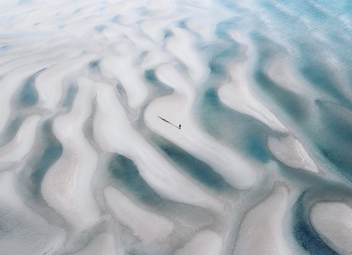 Tom Quan tweet media