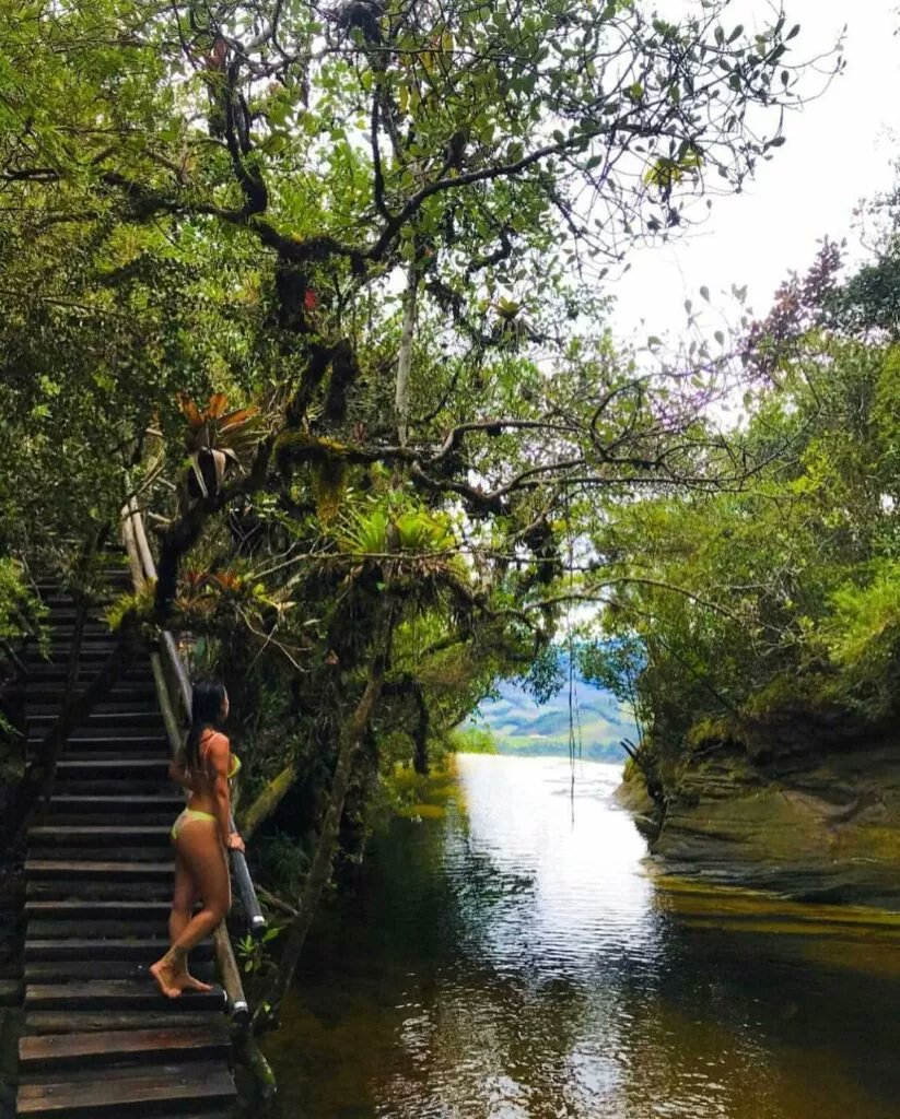 LibresCaminos's tweet photo. O Parque Estadual do #Ibitipoca é um dos melhores lugares para a prática do #ecoturismo no Estado de Minas Gerais, #Brasil, com #mirantes, #grutas, #cachoeiras e #lagoas.
Foto: @millamsribeiro
Apaixonados pela América do Sul!
#Turismo #MinasGerais #Brasil #TravelWriter https://t.co/AICkepDhjo