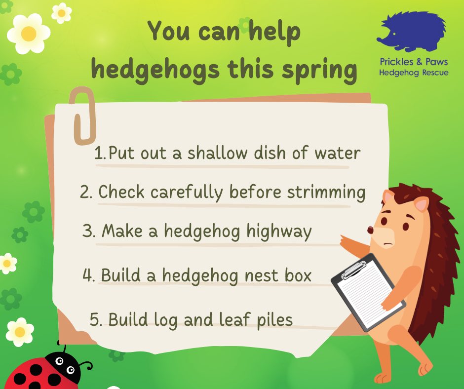 Prickles_Paws's tweet photo. 🌸 Hello Spring 🌸 
There is so much you can do to help hedgehogs, many will still be hibernating so it’s important not to disturb them and check areas closely before clearing. Every spring we admit numerous strimmer and gardening related injury cases. Please THINK HEDGEHOG 🦔🐾 https://t.co/0CPZJ7lfEY