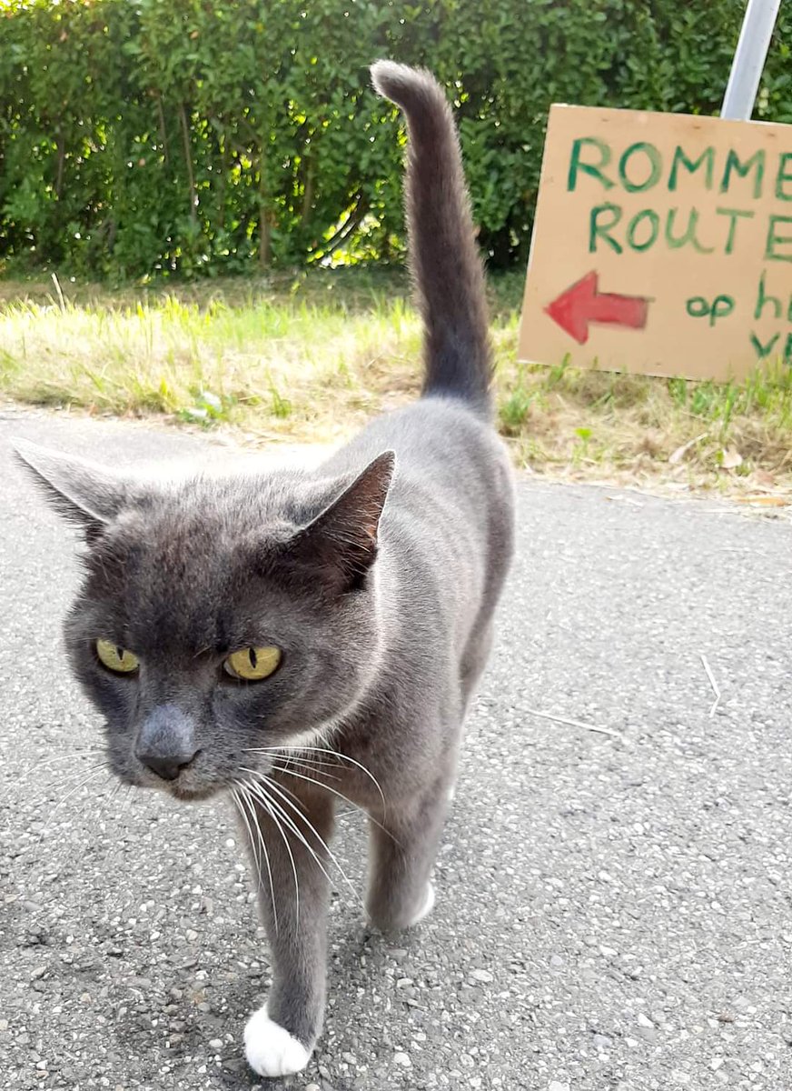 Rommelroute 2023 wordt georganiseerd op 4 juni. Doe je ook mee?