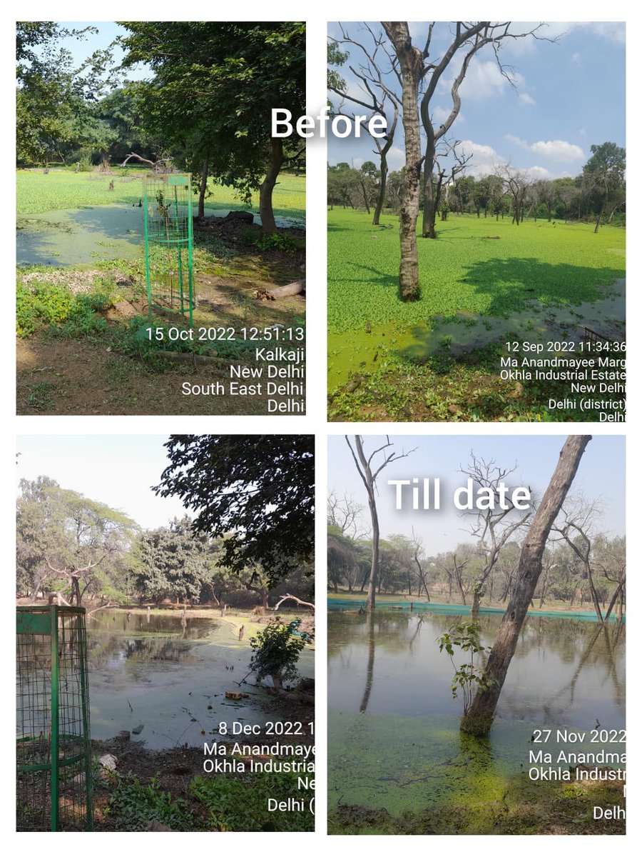 FluentialWin's tweet photo. #Rejuvenation of Ma Anandmayee jheel, harkesh nagar , delhi in association with @Gvriksh under csr @DelhiIocl @IndianOil_Delhi @iocl_rajesh @Bohrashyam2 @RK_Mohapatra @HardeepSPuri @KalraRachna https://t.co/SPbr2B7WOB