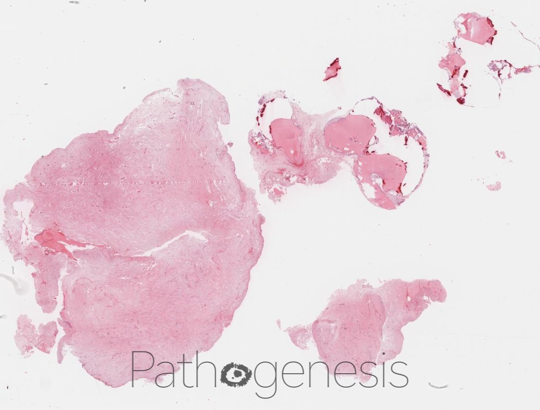 Ali Khurram tweet media