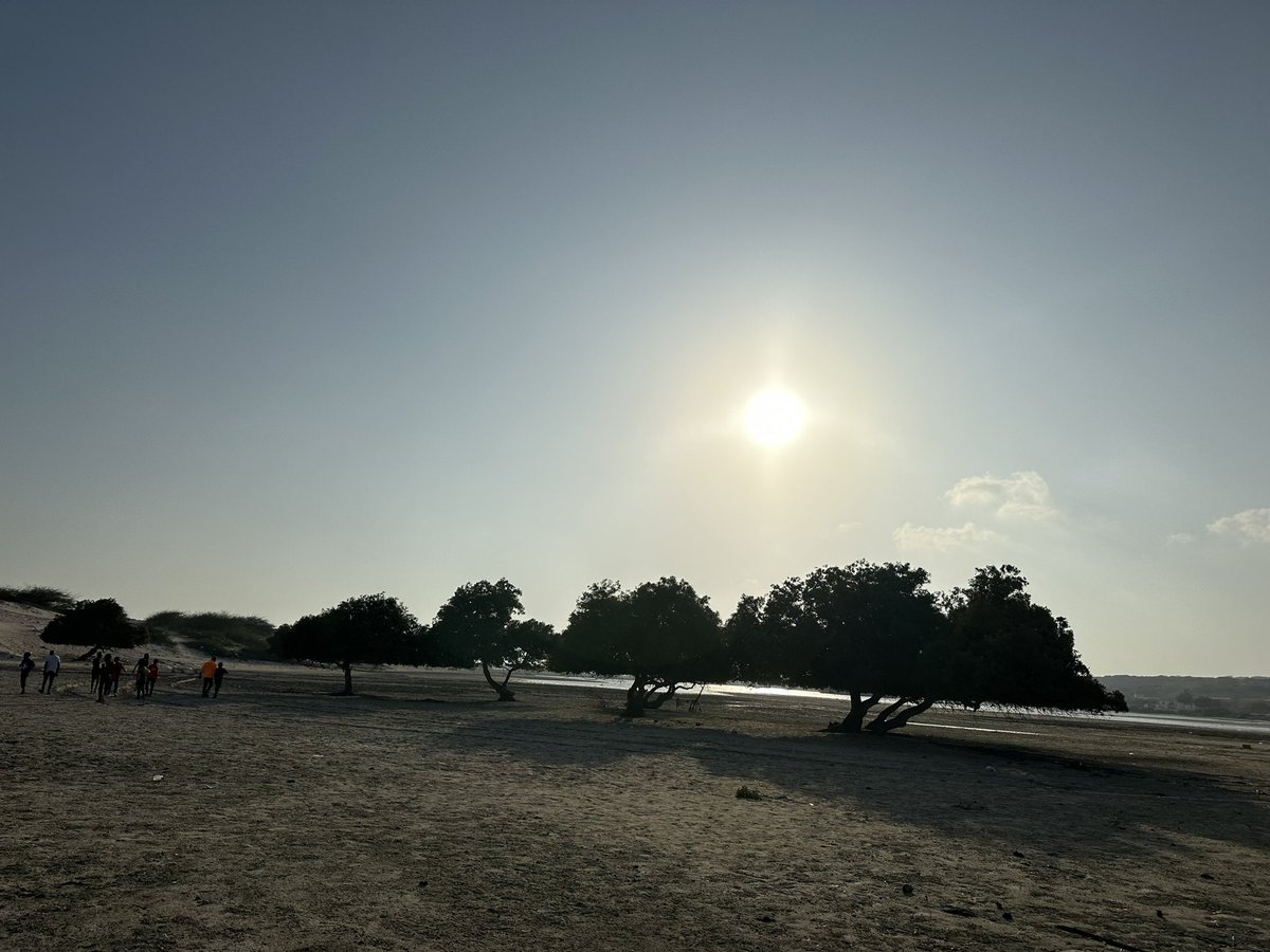 BarkhadleAbdulk's tweet image. Small-scale fishers in Abay-dhahan plays a crucial role for fishing sector and also helps at 20% fish domestic consumption in #Mogadishu. Abay-dhahan fishermen still facing lack of fishing gears equipments. @MFMRSomaliya @SecureFisheries  @A_Addow @AliifiyeAli