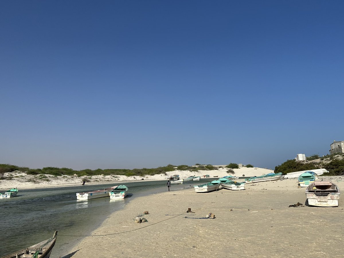 BarkhadleAbdulk's tweet image. Small-scale fishers in Abay-dhahan plays a crucial role for fishing sector and also helps at 20% fish domestic consumption in #Mogadishu. Abay-dhahan fishermen still facing lack of fishing gears equipments. @MFMRSomaliya @SecureFisheries  @A_Addow @AliifiyeAli